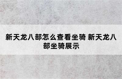 新天龙八部怎么查看坐骑 新天龙八部坐骑展示